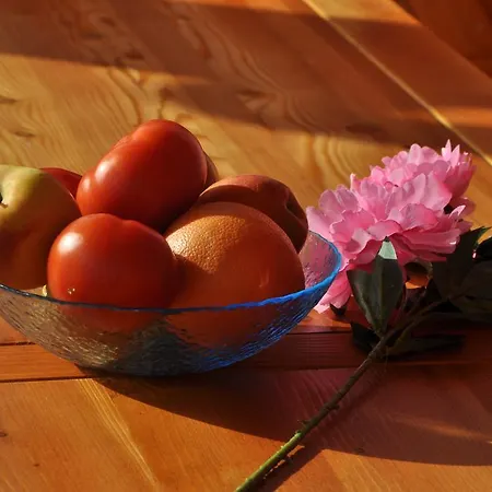 Galeb Apartmán Biograd Na Moru